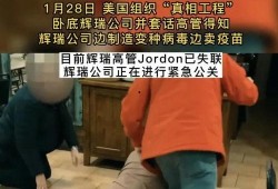 美国辉瑞高管爆料视频,揭秘疫苗研发与市场策略内幕