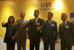 飞鹤最新爆料新闻,揭秘乳业巨头背后的真相与争议